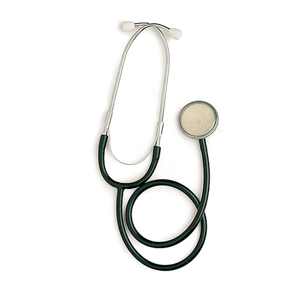 Duoscope Stethoscope - Nursing Guardian Spirit - Bridge & Lindsey Duoscope Stethoscope - Nursing Guardian Spirit - Bridge & Lindsey